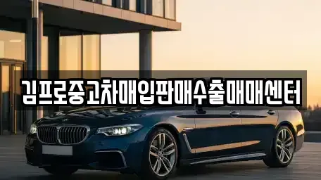 경북 포항시 남구 청림동 중고차매입 전문 김프로중고차매입판매수출매매센터