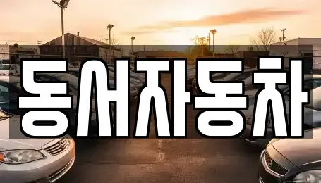 경상남도 김해시 한림면 중고차 전문 동서자동차