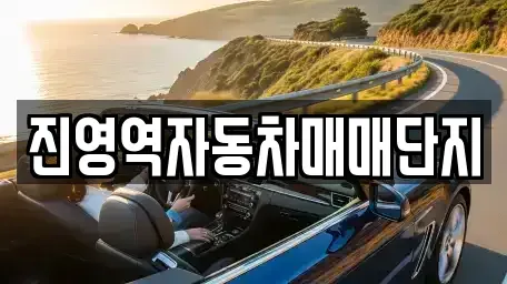 경상남도 김해시 한림면 중고차 전문 진영역자동차매매단지