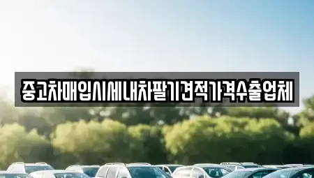 경상남도 김해시 한림면 중고차매입 전문 중고차매입시세내차팔기견적가격수출업체