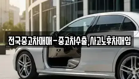 경상북도 경산시 신교동 중고차 전문 전국중고차매매-중고차수출,사고노후차매입