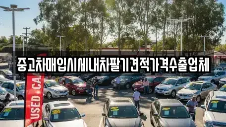 경상북도 경산시 신교동 중고차 전문 중고차매입시세내차팔기견적가격수출업체