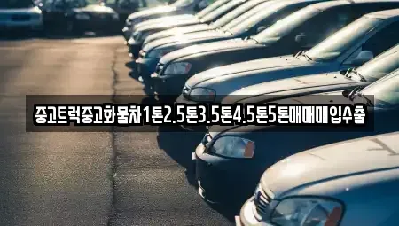 경상북도 경산시 신교동 중고차 전문 중고트럭중고화물차1톤2.5톤3.5톤4.5톤5톤매매매입수출