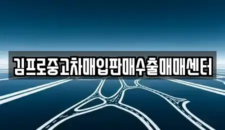 경상북도 경주시 석장동 중고차 전문 김프로중고차매입판매수출매매센터