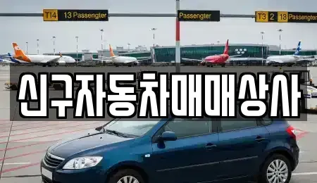 경상북도 경주시 성동동 중고차 전문 신구자동차매매상사