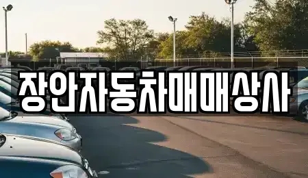 경상북도 경주시 성동동 중고차 전문 장안자동차매매상사