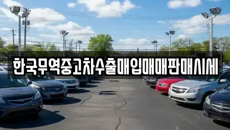 경상북도 경주시 성동동 중고차 전문 한국무역중고차수출매입매매판매시세