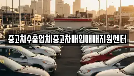 경상북도 경주시 성동동 중고차매입 전문 중고차수출업체중고차매입매매지원센터