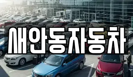 경상북도 안동시 풍산읍 중고차 전문 새안동자동차