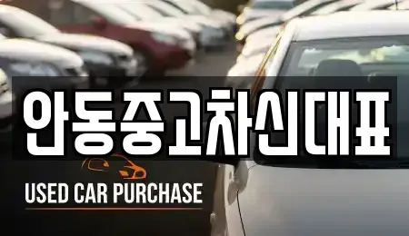 경상북도 안동시 풍산읍 중고차 전문 안동중고차신대표