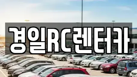 경상북도 영천시 쌍계동 렌트카 전문 경일RC렌터카