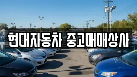 경상북도 영천시 쌍계동 중고차 전문 현대자동차 중고매매상사