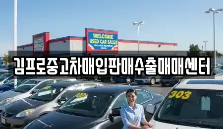 광주 광산구 박호동 중고차매입 전문 김프로중고차매입판매수출매매센터