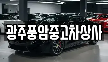 광주 북구 충효동 중고차 전문 광주풍암중고차상사