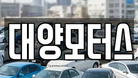 광주광역시 광산구 송산동 중고차매매 전문 대양모터스