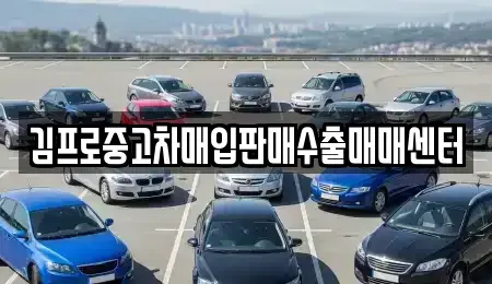 광주광역시 서구 내방동 단기렌트카,중고차매입,중고차매매,중고차,렌트카,장기렌트카