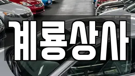 대전 동구 대성동 중고차 전문 계룡상사