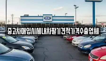 대전광역시 대덕구 읍내동 중고차매입 전문 중고차매입시세내차팔기견적가격수출업체