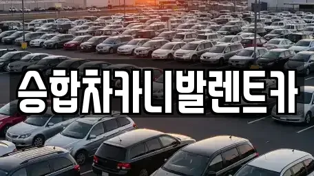 대전광역시 중구 무수동 렌트카 전문 승합차카니발렌트카