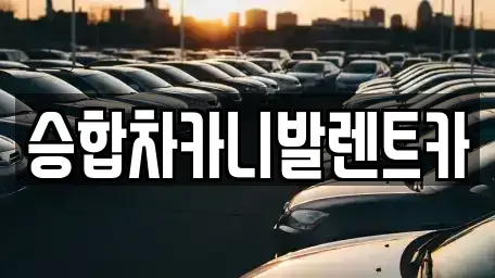 대전광역시 중구 유천동 렌트카 전문 승합차카니발렌트카