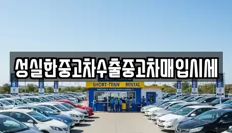 대전광역시 중구 유천동 중고차매매 전문 성실한중고차수출중고차매입시세