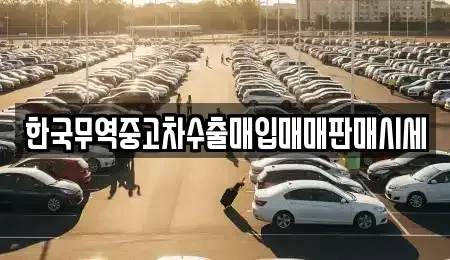 대전광역시 중구 유천동 중고차매매 전문 한국무역중고차수출매입매매판매시세