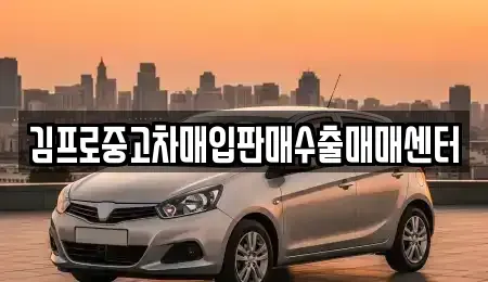 대전광역시 중구 유천동 중고차매입 전문 김프로중고차매입판매수출매매센터