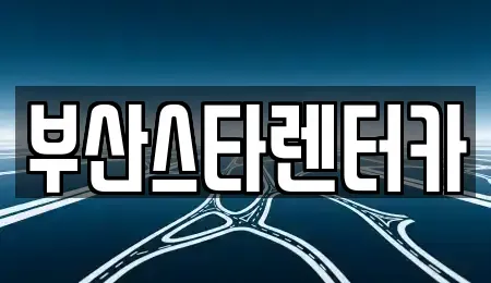 부산 동래구 안락동 렌트카 전문 부산스타렌터카