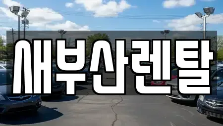 부산 동래구 안락동 렌트카 전문 새부산렌탈