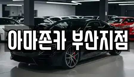 부산 동래구 안락동 장기렌트카 전문 아마존카 부산지점