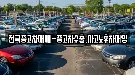 부산 동래구 안락동 중고차 전문 전국중고차매매-중고차수출,사고노후차매입