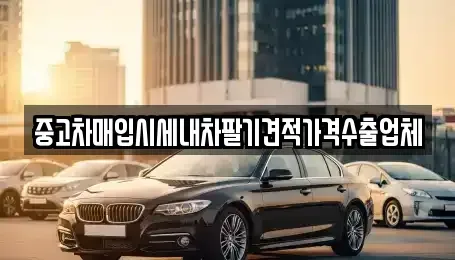 부산 동래구 안락동 중고차매입 전문 중고차매입시세내차팔기견적가격수출업체