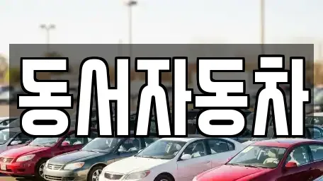 부산 북구 금곡동 중고차 전문 동서자동차