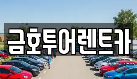 부산 사하구 신평동 렌트카 전문 금호투어렌트카