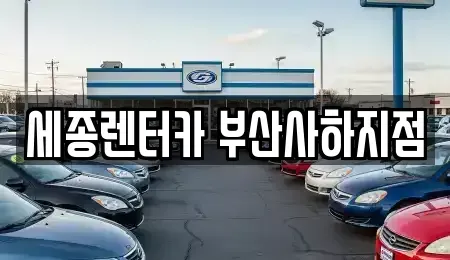 부산 사하구 신평동 렌트카 전문 세종렌터카 부산사하지점