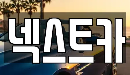 부산 사하구 신평동 장기렌트카 전문 넥스트카