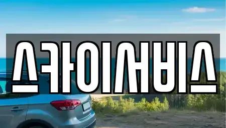 부산 사하구 신평동 중고차 전문 스카이서비스