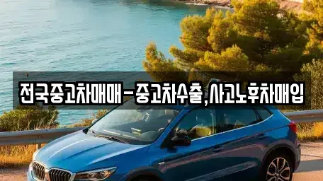 부산 사하구 신평동 중고차매입 전문 전국중고차매매-중고차수출,사고노후차매입