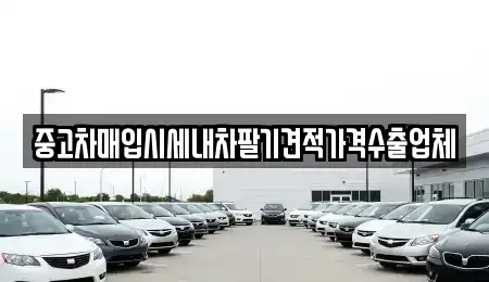 부산 사하구 신평동 중고차매입 전문 중고차매입시세내차팔기견적가격수출업체