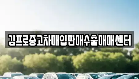 부산 영도구 중고차매매 전문 김프로중고차매입판매수출매매센터
