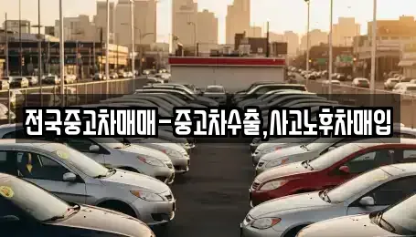 부산 중구 광복동3가 중고차 전문 전국중고차매매-중고차수출,사고노후차매입
