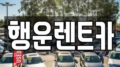 부산광역시 강서구 미음동 렌트카 전문 행운렌트카
