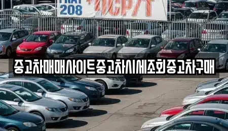 부산광역시 강서구 미음동 중고차 전문 중고차매매사이트중고차시세조회중고차구매