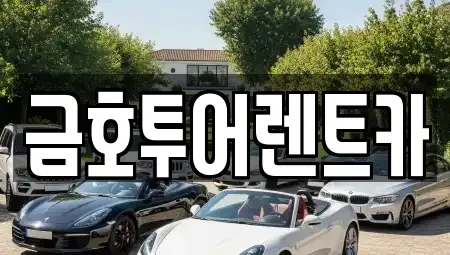 부산광역시 사하구 신평동 렌트카 전문 금호투어렌트카