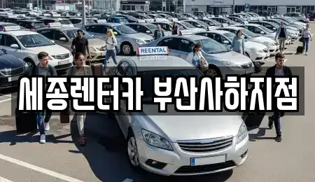 부산광역시 사하구 신평동 렌트카 전문 세종렌터카 부산사하지점
