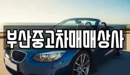 부산광역시 사하구 신평동 중고차매매 전문 부산중고차매매상사