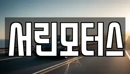 부산광역시 사하구 신평동 중고차매매 전문 서린모터스