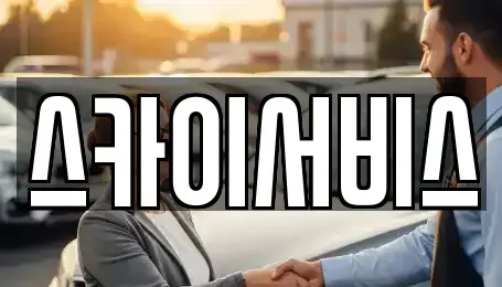 부산광역시 사하구 신평동 중고차매매 전문 스카이서비스