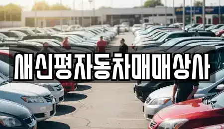 부산광역시 사하구 신평동 중고차매입 전문 새신평자동차매매상사