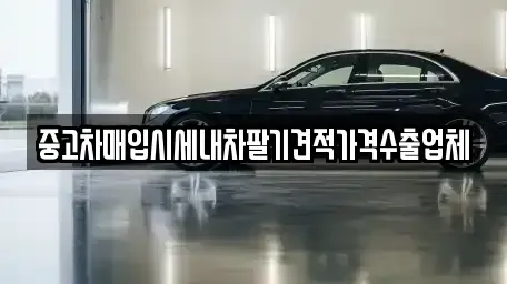 부산광역시 사하구 신평동 단기렌트카,중고차매입,중고차매매,중고차,렌트카,장기렌트카